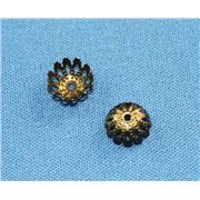 Bead Cap  Flower Filigree Antique Brass 8x4mm ea