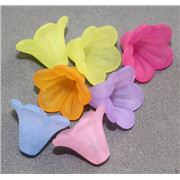 Acrylic Frosted Lily 14x10mm Assorted Colours ea.