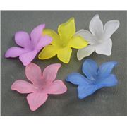 Acrylic Frosted Flower 28x7mm Assorted Colours ea.