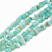 Shell Pearl Chips Dyed Turquoise  10x4-5x8mm. Per Strand Approx 230 beads