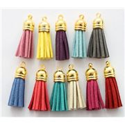 Tassel Terylene - Mixed Colours - Gold and Silver Caps 6cm