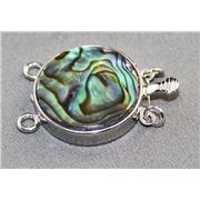 Clasp Paua Shell 2 Row Nickel 12x11mm ea