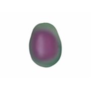 Swarovski Crystal 5821 Pearl Drop Iridescent Purple 11 x 8mm