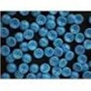 Czech Piggy Beads 4x8mm Blue Opaque 2 Hole each