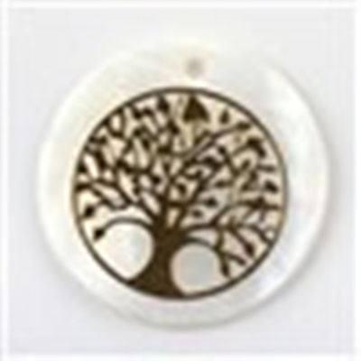 Round Shell w/ Tree of Life Pattern 25mm  ea