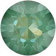 Swarovski Crystal 1088 Pointy Back Silky Sage DeLite SS39 