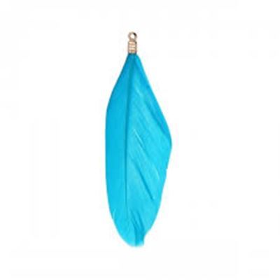 Pendant Natural Dyed Goose Feather Ass. Colours 60mm ea