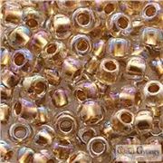 Toho Seed Bead Gold Lined Rainbow Crystal 11/0 - Minimum 8g