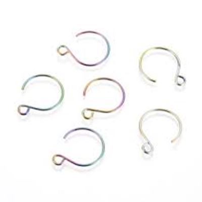 Earrings Vacuum Plated Stainless Steel Multi Colour Round Hooks 18.5x14mm pr 