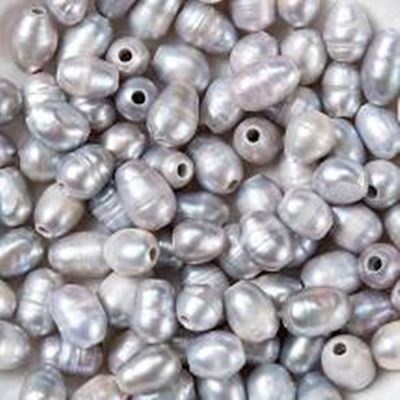 Freshwater Pearl 9x8mm Grey Large Hole Oval Shaped ea