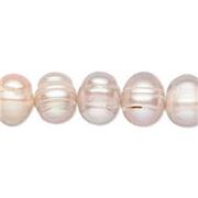 Freshwater Pearl Strand Semi Round Pale Cream 10mm (approx 49 beads) each