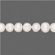 Freshwater Pearl Strand White Semi Round 5mm (16 inch strand) each