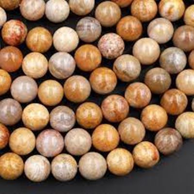 Semi Precious Strand Natural Fossil Coral Round 6mm (approx 62 beads)
