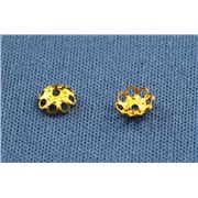 Bead Cap Filigree Gold 5mm ea
