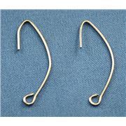 Long Drop Ear Hook-Nickel Free Nickel  ea