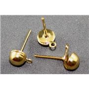 Earrings   Dome Stud (per pair) Gold 4mm ea