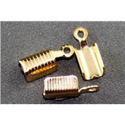 Fold End  Large Gold 12x5mm ea